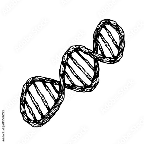 Hand drawn dna structure isolated element black outline biology concept for science projects and