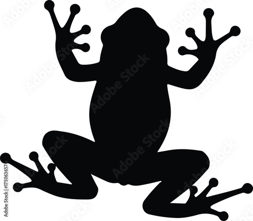 Vector silhouette frog amphibian animal simple monochrome illustration