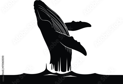 Vector silhouette of humpback whale breaching from ocean water illustration