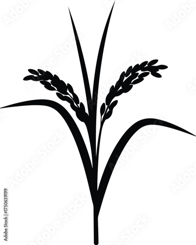 Vector silhouette rice plant stalk harvest agriculture illustration