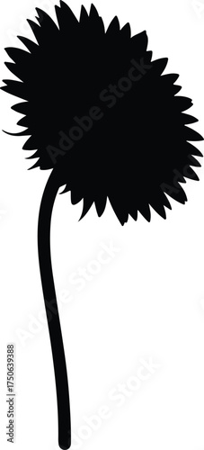 Vector silhouette single marigold flower on stem illustration