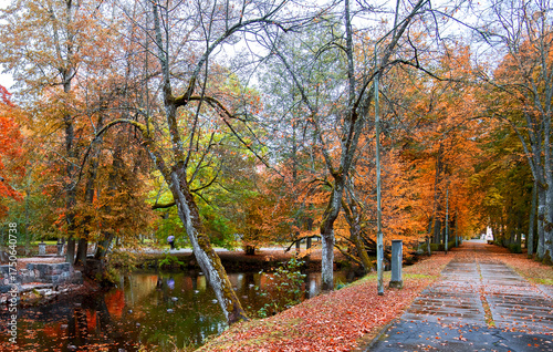 Late autumn in old public park