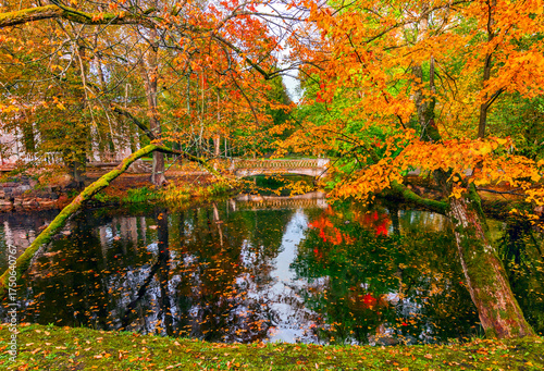 Late autumn in old public park