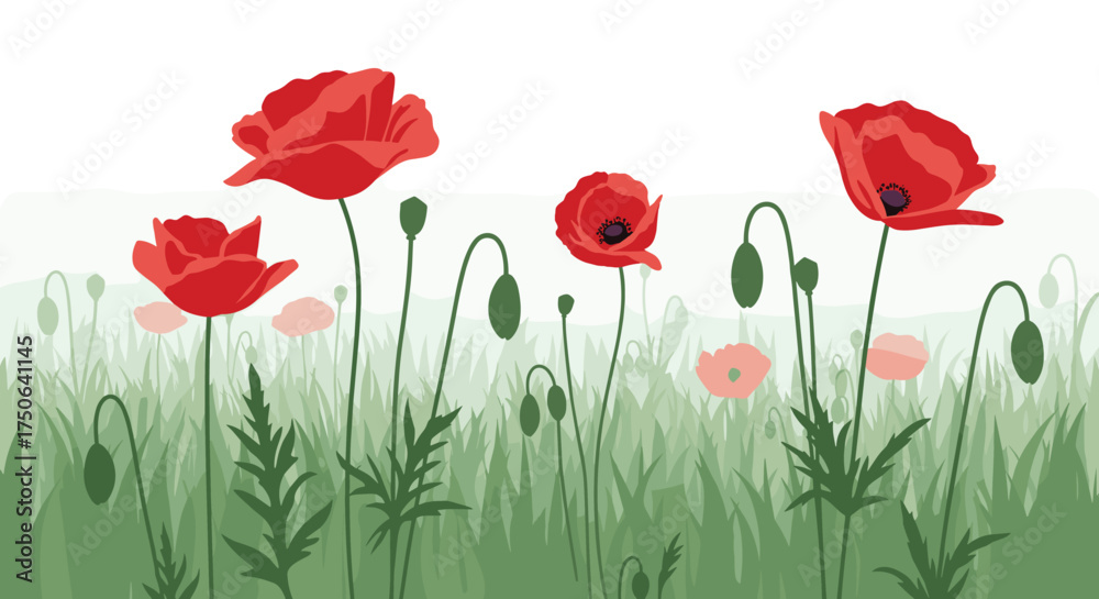 Fototapeta premium A field of bright red poppies gently swaying in the breeze on a clear day.