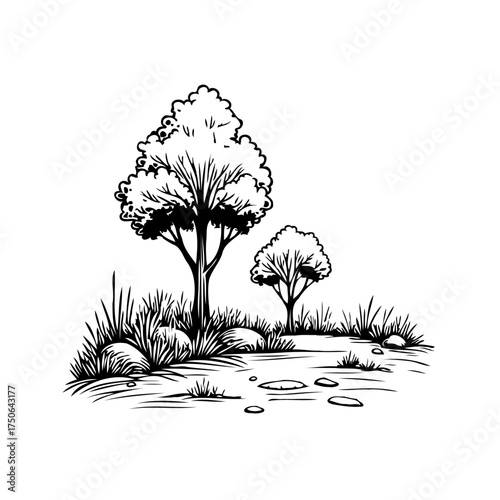 Minimalist nature illustration features trees, rocks, and grasses, an artistic scene of