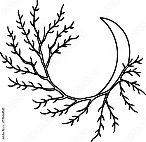 Tree Branches Shaped Like Crescent Moon Line Art Illustration