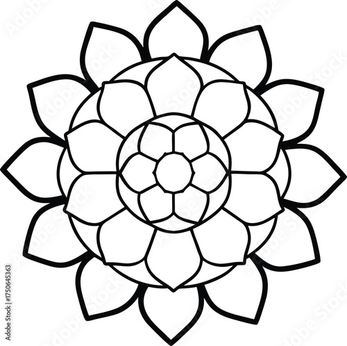 Turtle Shell Shaped Like Mandala Flower Line Art Illustration