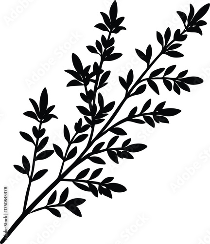 Party popper exploding with confetti and streamers celebrate joyful festive event isolated on transparent background