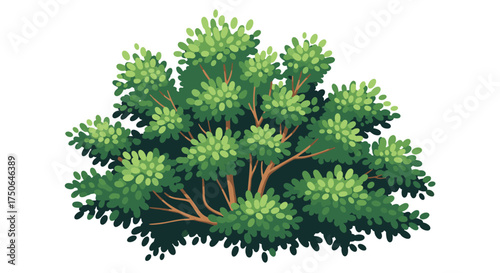 A vibrant green bush with many dense leaves and visible branches in the center.