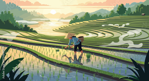 Vietnamese rice field worker in terraced paddies during sunset illustration