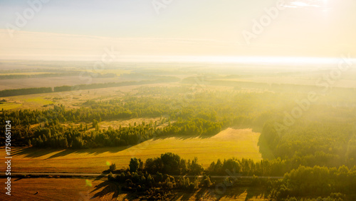 Bird's-eye view of a grassy field with trees, forest background