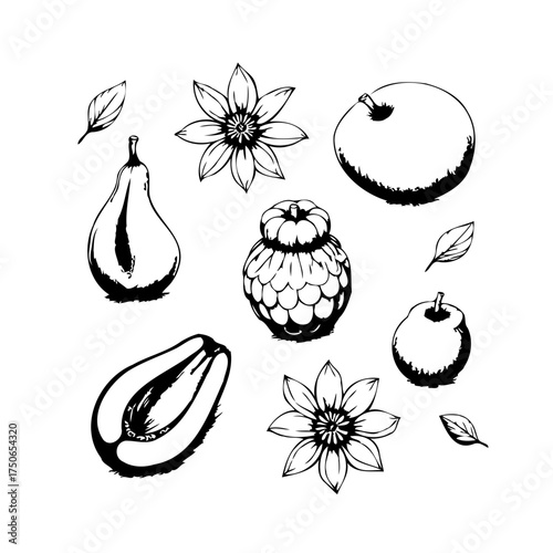 Whimsical still life illustration featuring fruits and blossoms a simple black and white sketch