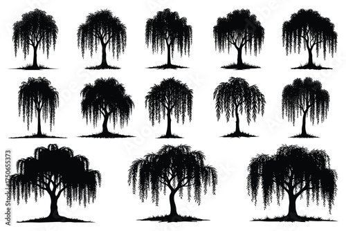 Collection of black willow tree silhouettes with grass