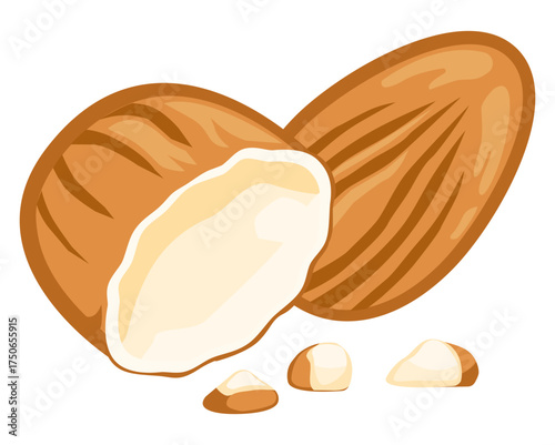 Vector icon of broken almond kernel with pieces, showing realistic texture for organic food illustration.