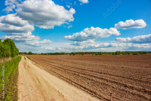 A rural dirt road winding beside a vast freshly plowed field under a bright blue sky with fluffy white clouds, showcasing tranquil agricultural beauty