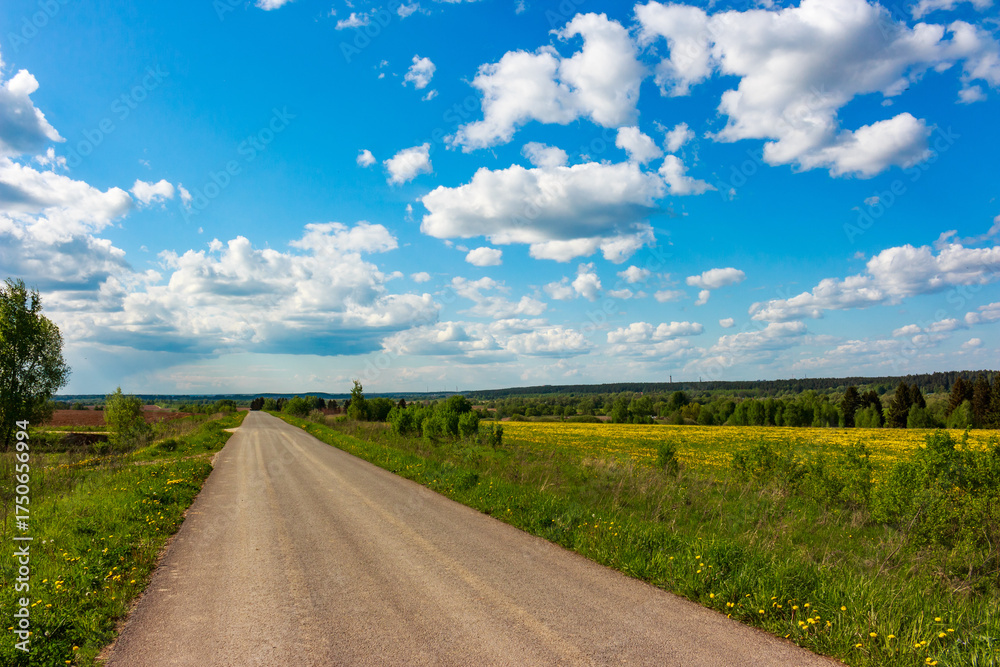 Naklejka premium A dirt road winds through blooming dandelion fields under a vast, cloud-strewn blue sky, stretching into the distance as a beacon of journey