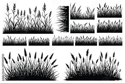 Black silhouettes of wheat grass and reeds vector