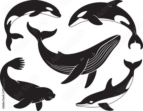 Ocean mammals collection silhouette design