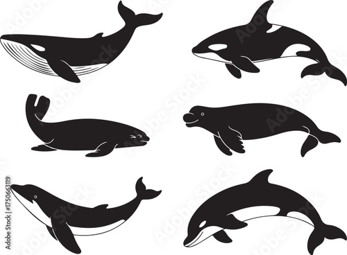 Ocean mammals silhouette collection for marine design