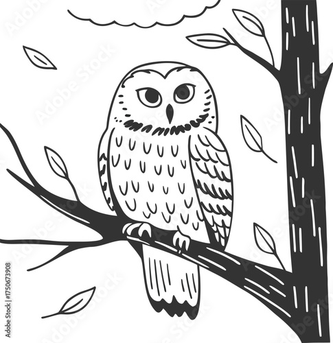 Pure empty void, a vast expanse for creative concepts and graphic designs