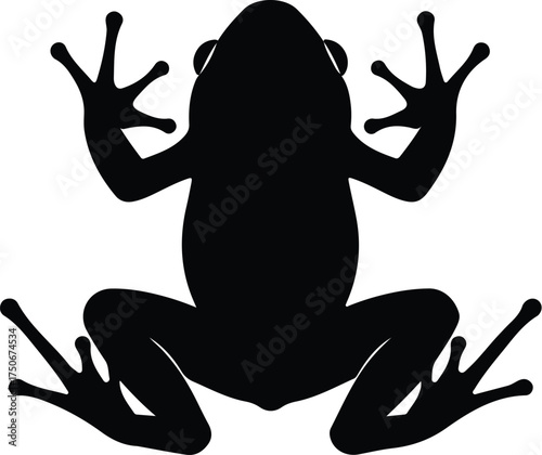 Vector silhouette of a frog amphibian animal illustration