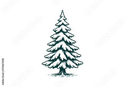 Christmas Tree hand drawn simple engraved vector illustration
