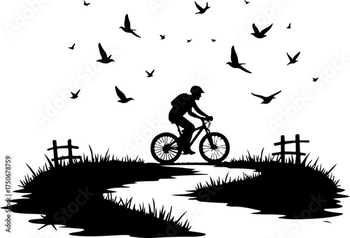 silhouette of a man riding a bicycle