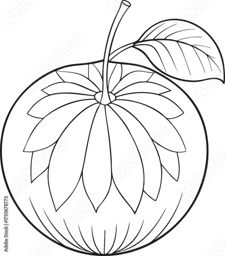 Artistic sketch of santol fruit with petal shaped details and leafy branch ideal for botanical art and illustration
