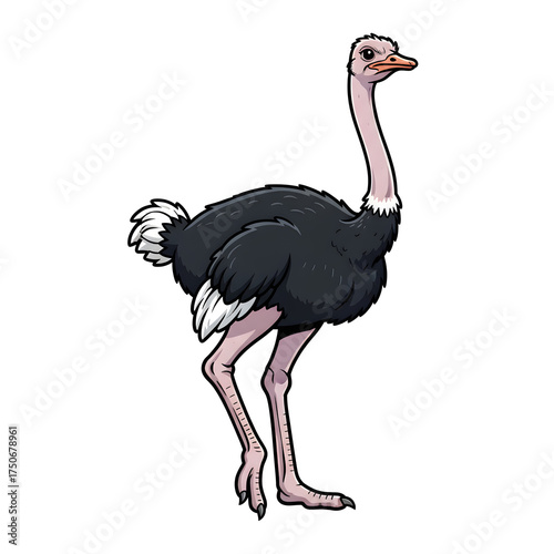 Wallpaper Mural Cartoon Ostrich Standing Tall With Long Neck And Black Feathers — Colorful Illustration Torontodigital.ca