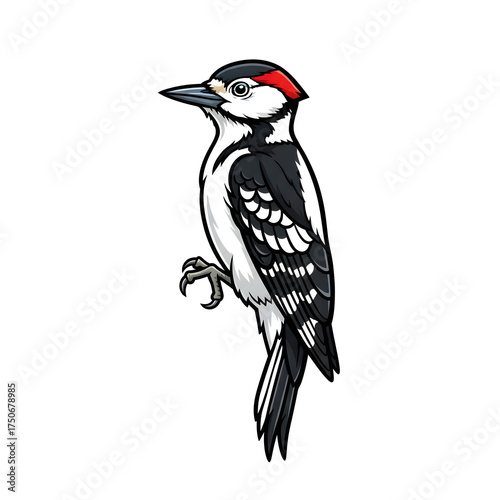 Wallpaper Mural Cartoon Woodpecker Illustration: Black White Feathers, Red Cap, and Perched Bird Mascot Design Torontodigital.ca