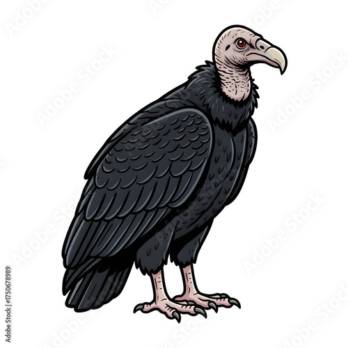 Wallpaper Mural Cartoon Black Vulture Illustration Standing Tall With Sharp Beak And Feathers Dark Wings Texture Torontodigital.ca