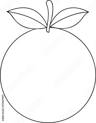 Simple outline drawing of fresh orange fruit with leaves and stem creative tropical artwork perfect for coloring books