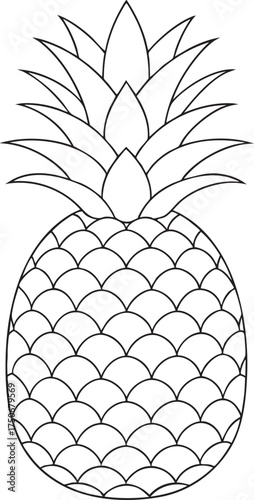 Simple line drawing of pineapple fruit with leafy crown tropical artwork ideal for summer design and illustration work