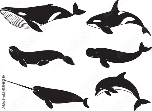 Diverse marine mammals silhouette collection for design