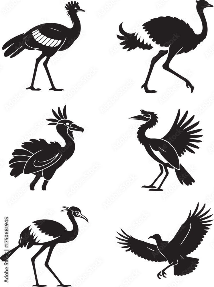 Obraz premium Diverse bird silhouettes for creative projects