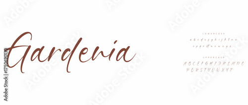 modern luxury capital alphabet letter logo design