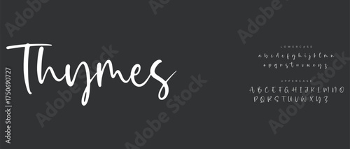 modern luxury small alphabet letter logo design
