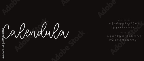 calligraphy alphabet small lettering a to z font family