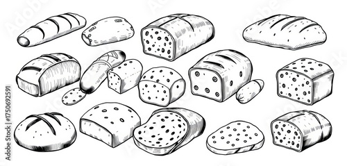 Hand-drawn black and white bread illustrations, isolated on white  Various bread types in vector format,  baguette,  design element