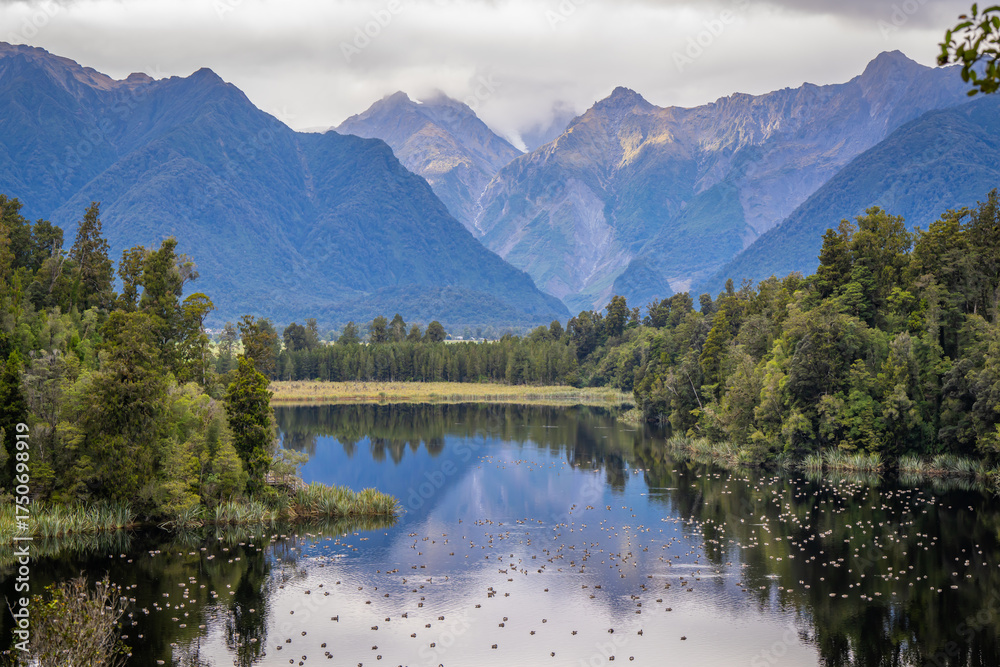 Naklejka premium beautiful nature walking tract people can see big trees ,frens ,moss ,reflection lake ,group of duck, animals , colorful mushroom and fox glacier view at lake Matheson South Island New Zealand