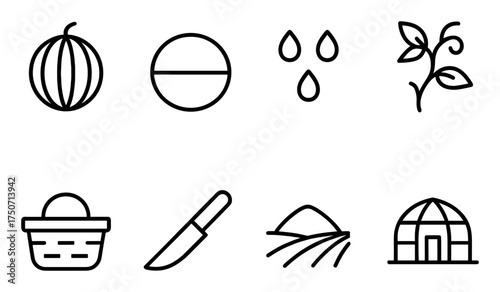 Melon Crop Icons