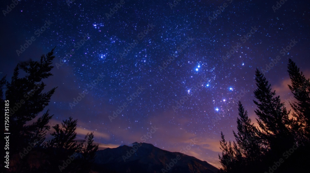 Fototapeta premium Bright stars fill the night sky above a beautiful mountain range. Constellations shine vividly creating a stunning view framed by dark tree silhouettes.