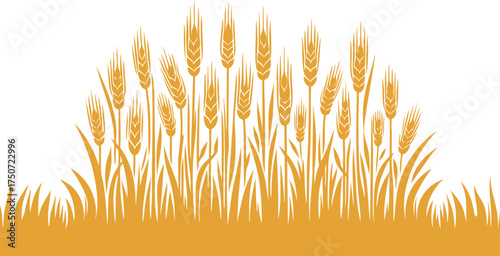 Colorful Barley field horizontal landscape border element vector illustration isolated on a white background