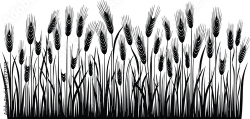 Barley field horizontal landscape border element vector illustration isolated on a white background