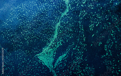 фотографія Abstract pattern of glowing bioluminescence creating a vibrant texture in dark b