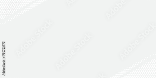 gray and white abstract background modern vector illustration