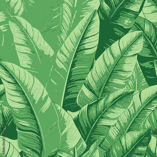 Green banana leaves tropical foliage pattern nature background.