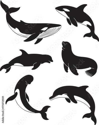 Marine Mammal Silhouettes Orca Dolphin Seal Sea Life