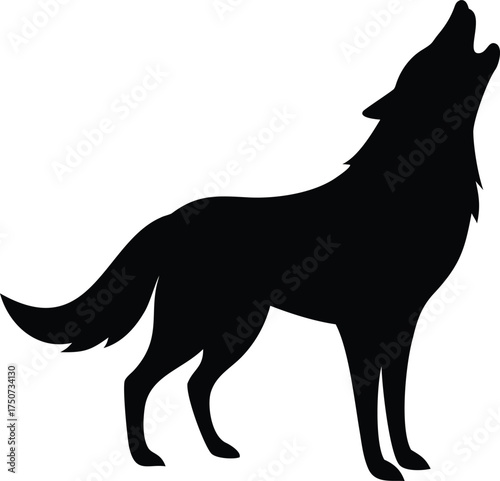 Wolf, Howling, Silhouette 
