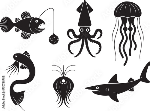 Deep sea creatures collection for marine biology